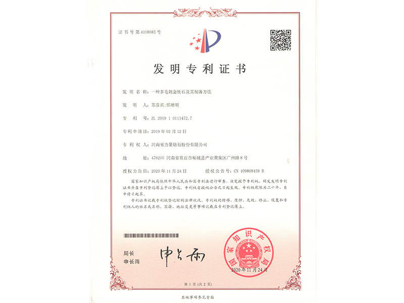 Chứng chỉ bằng sáng chế - Loại kim cương có gai nhiều lông và phương pháp sản xuất của nó Chứng chỉ bằng sáng chế - Loại kim cương có gai nhiều lông và phương pháp sản xuất của nó